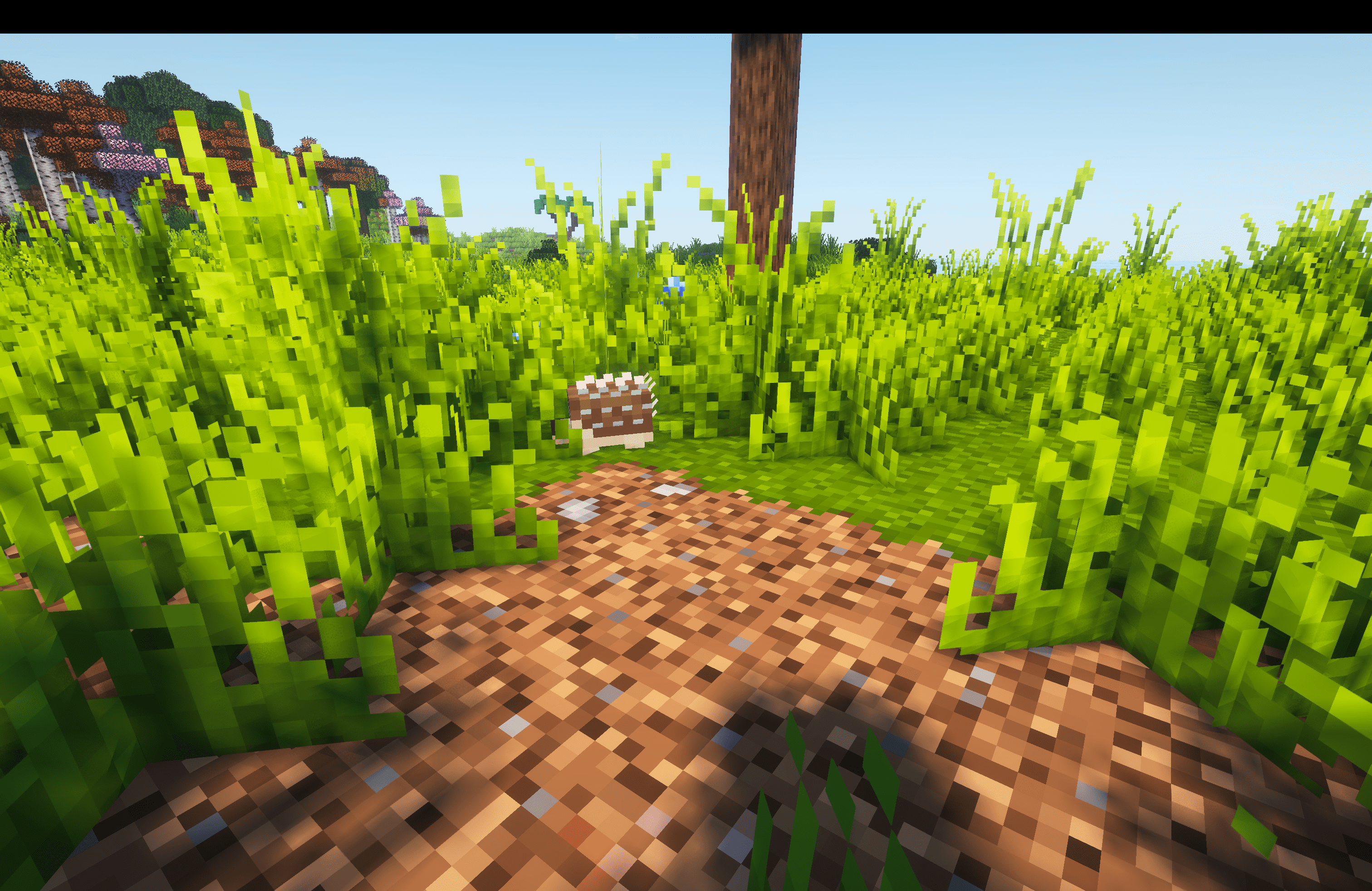 [Let's Do] WilderNature — screenshot 4