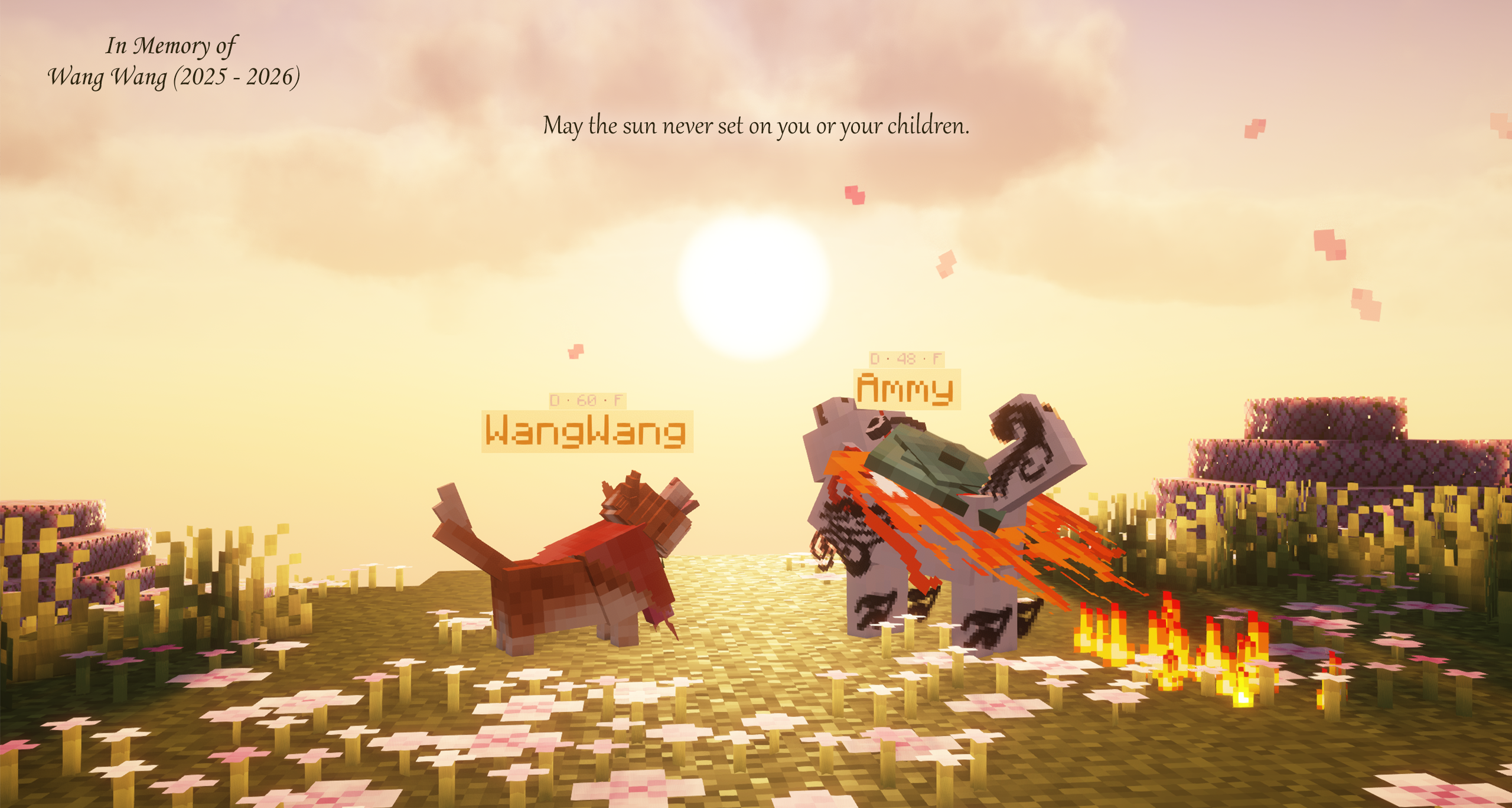 Doggy Talents Next — screenshot 1