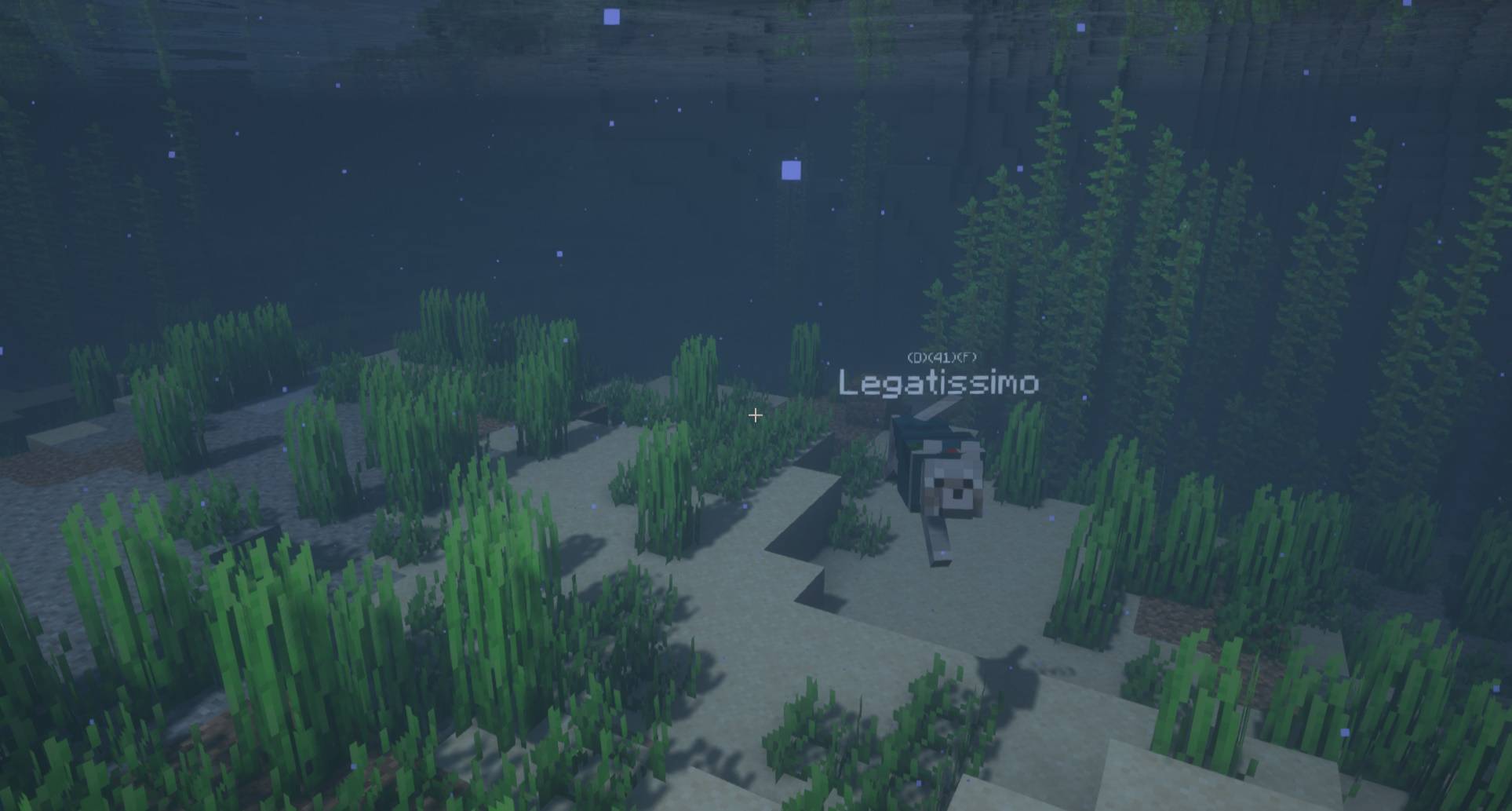 Doggy Talents Next — screenshot 6