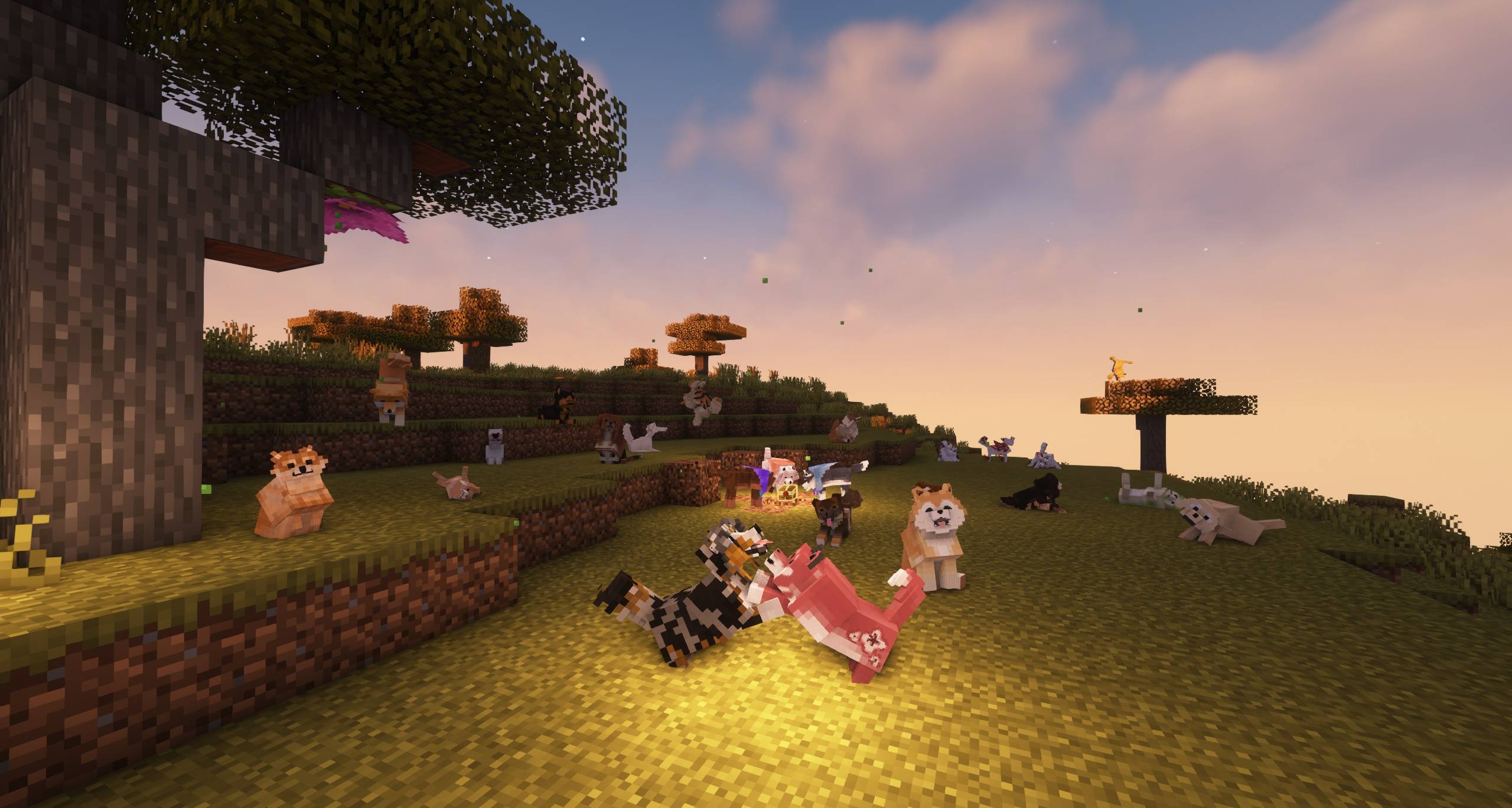 Doggy Talents Next — screenshot 8