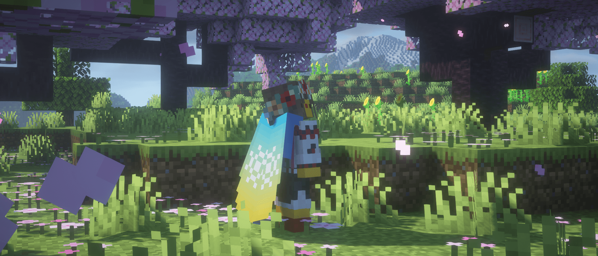 Elytra Trims — screenshot 3