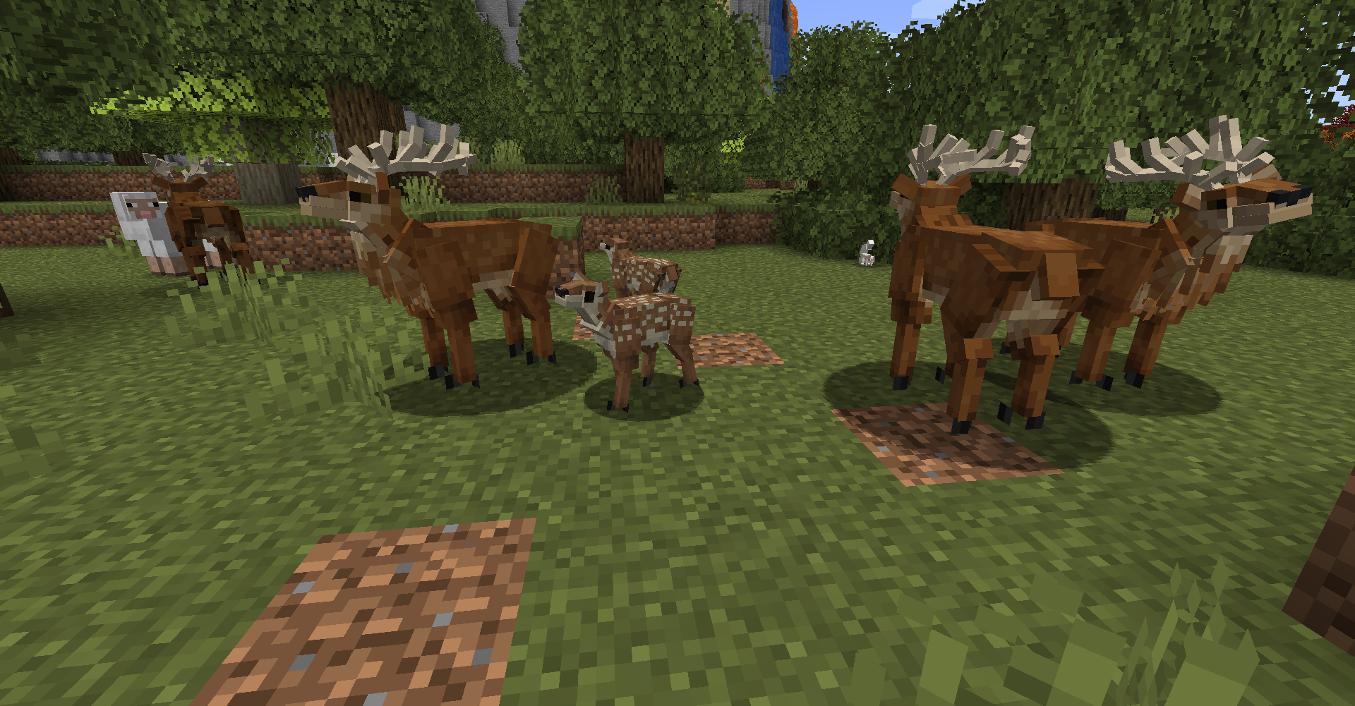 Better Animals Plus — screenshot 1