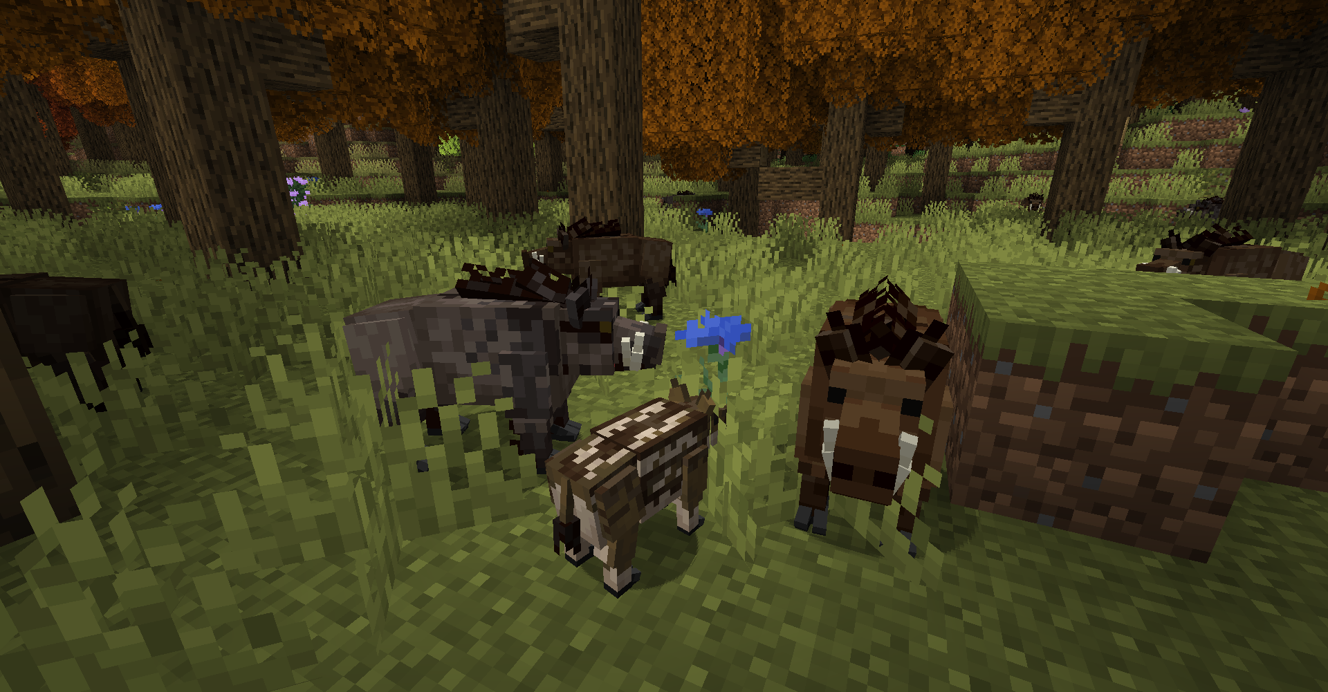 Better Animals Plus — screenshot 5