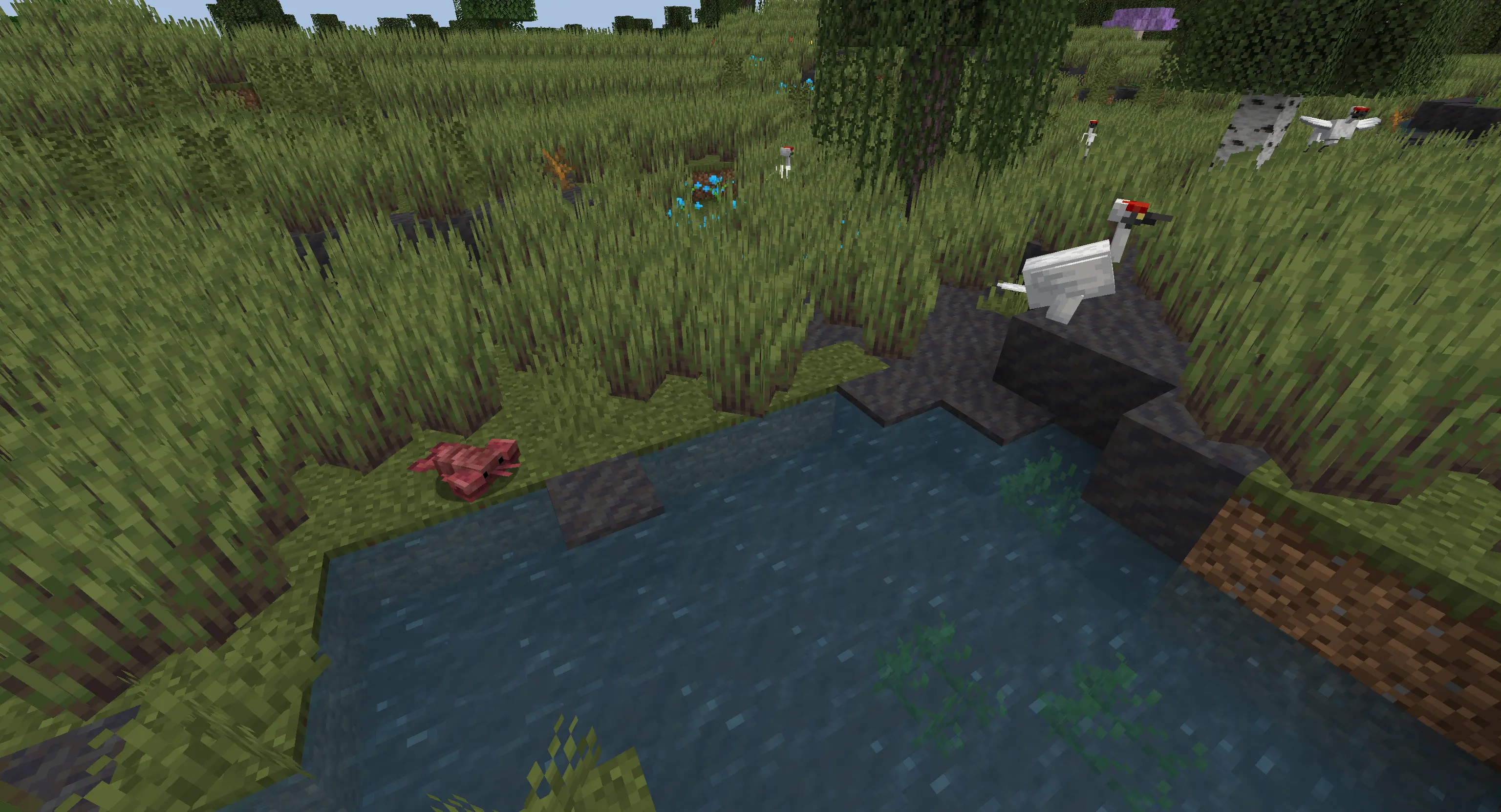 Wetland Whimsy — screenshot 6