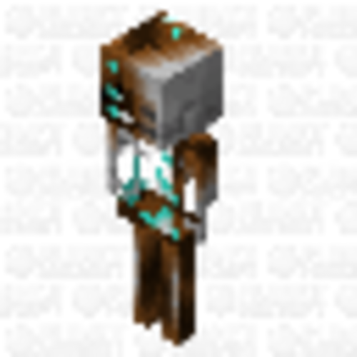 Nether Skeletons