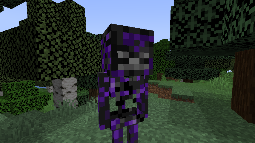 Nether Skeletons — screenshot 2