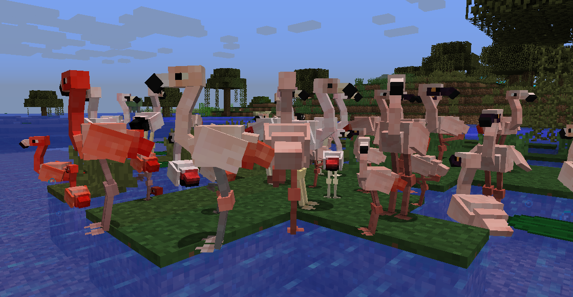 Exotic Birds — screenshot 1