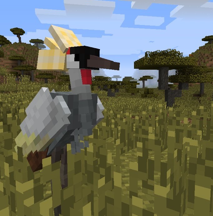 Exotic Birds — screenshot 4