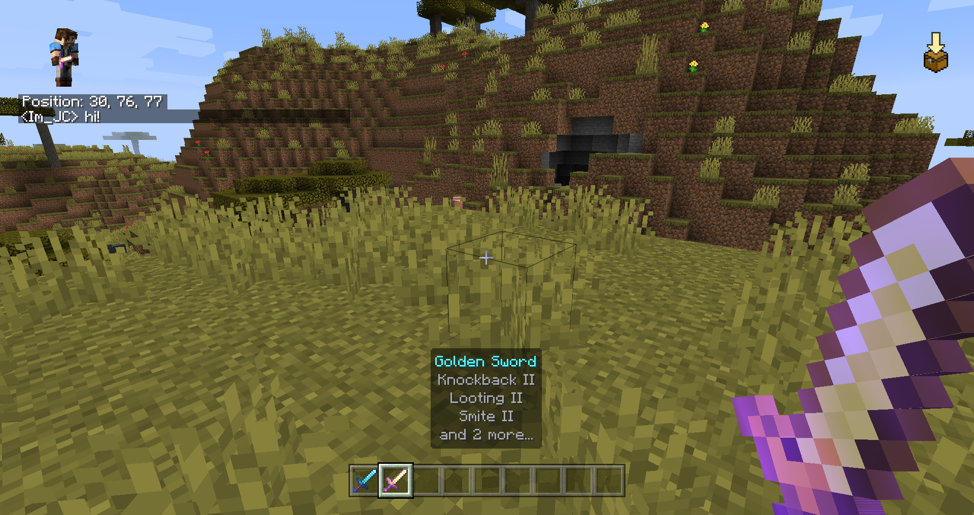 BedrockIfy - Bedrock Features on Java! — screenshot 4
