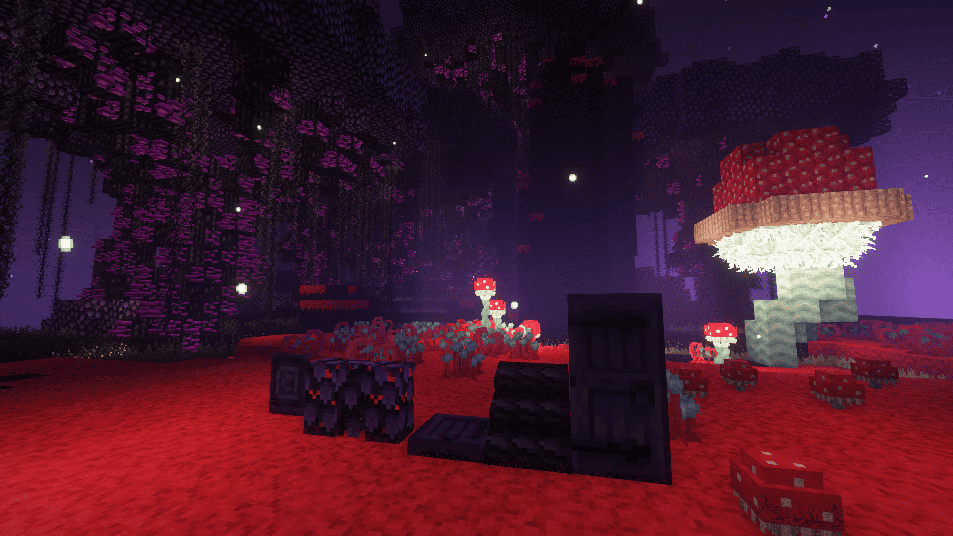 Macaw's Betters — screenshot 3