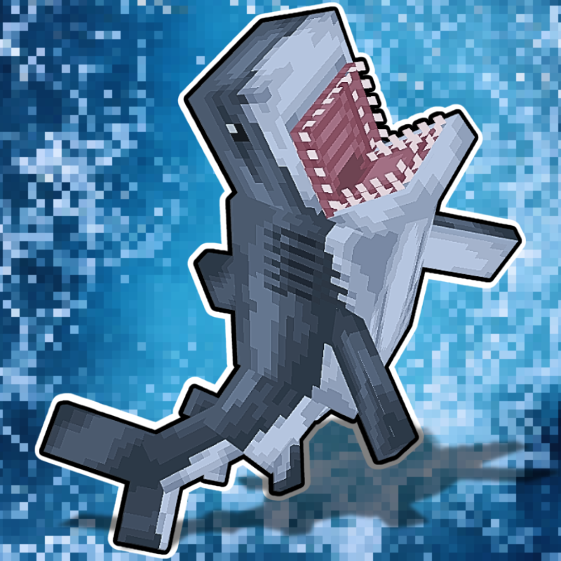 Ben's Sharks