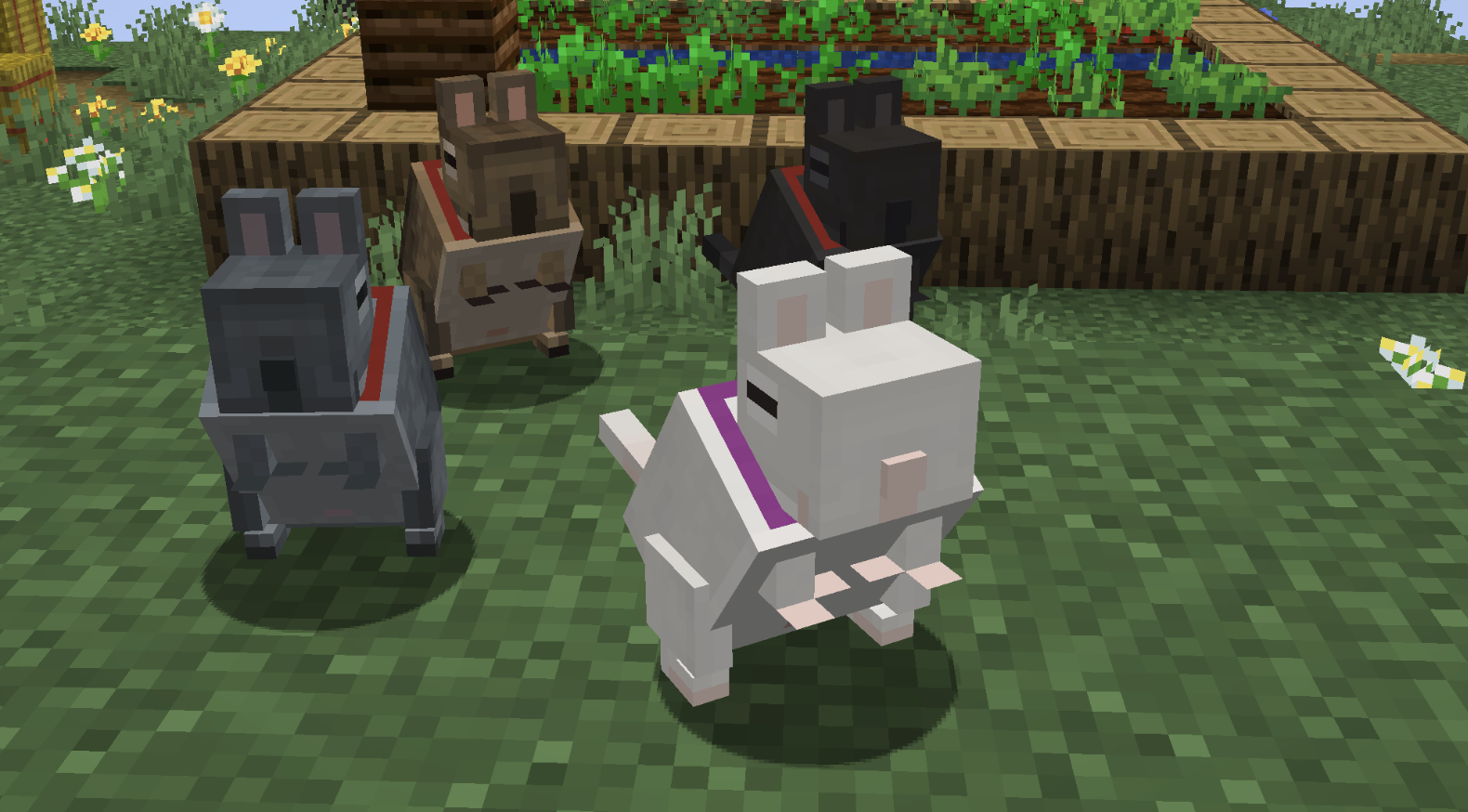 Vanilla Degus — screenshot 6
