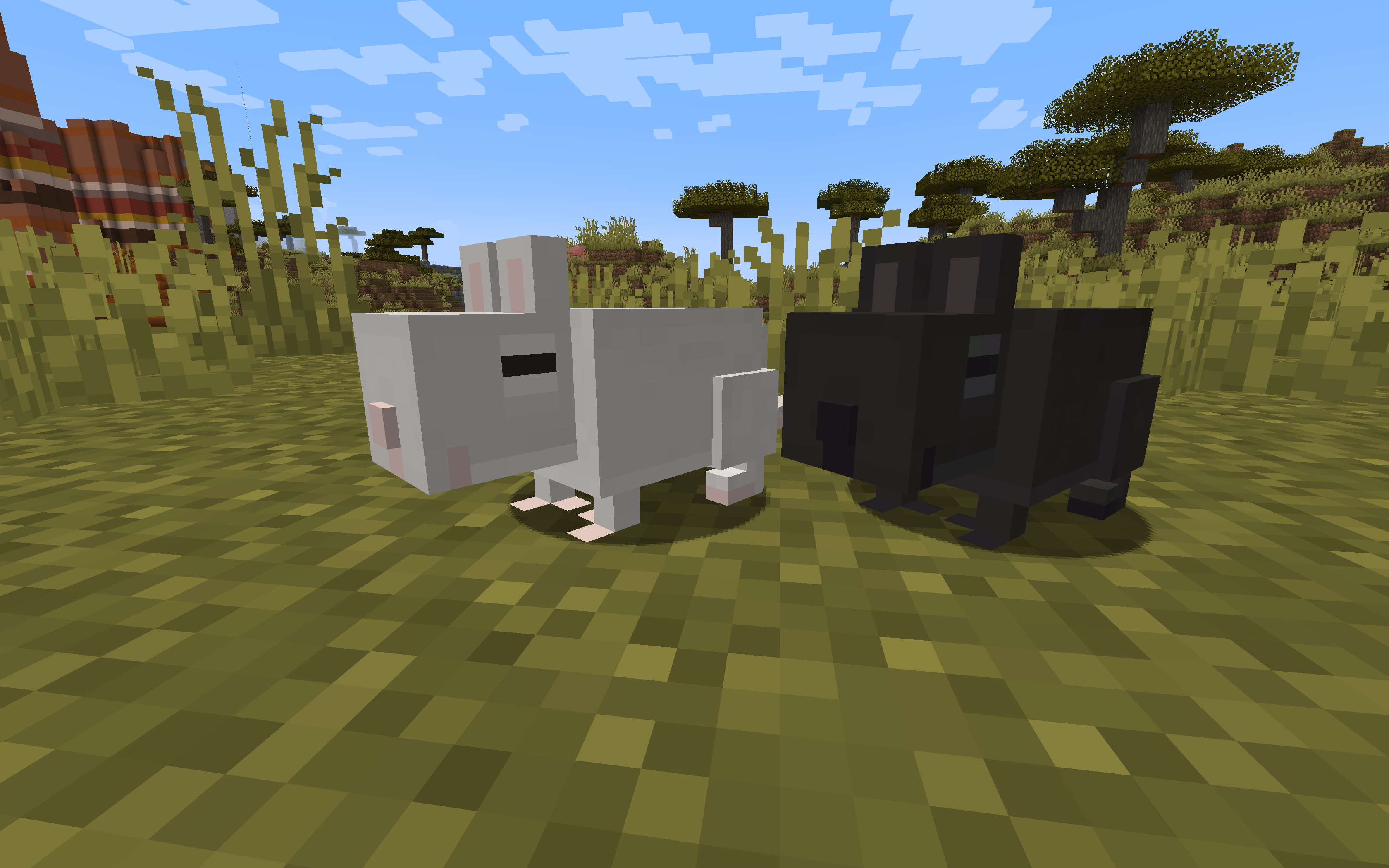 Vanilla Degus — screenshot 7