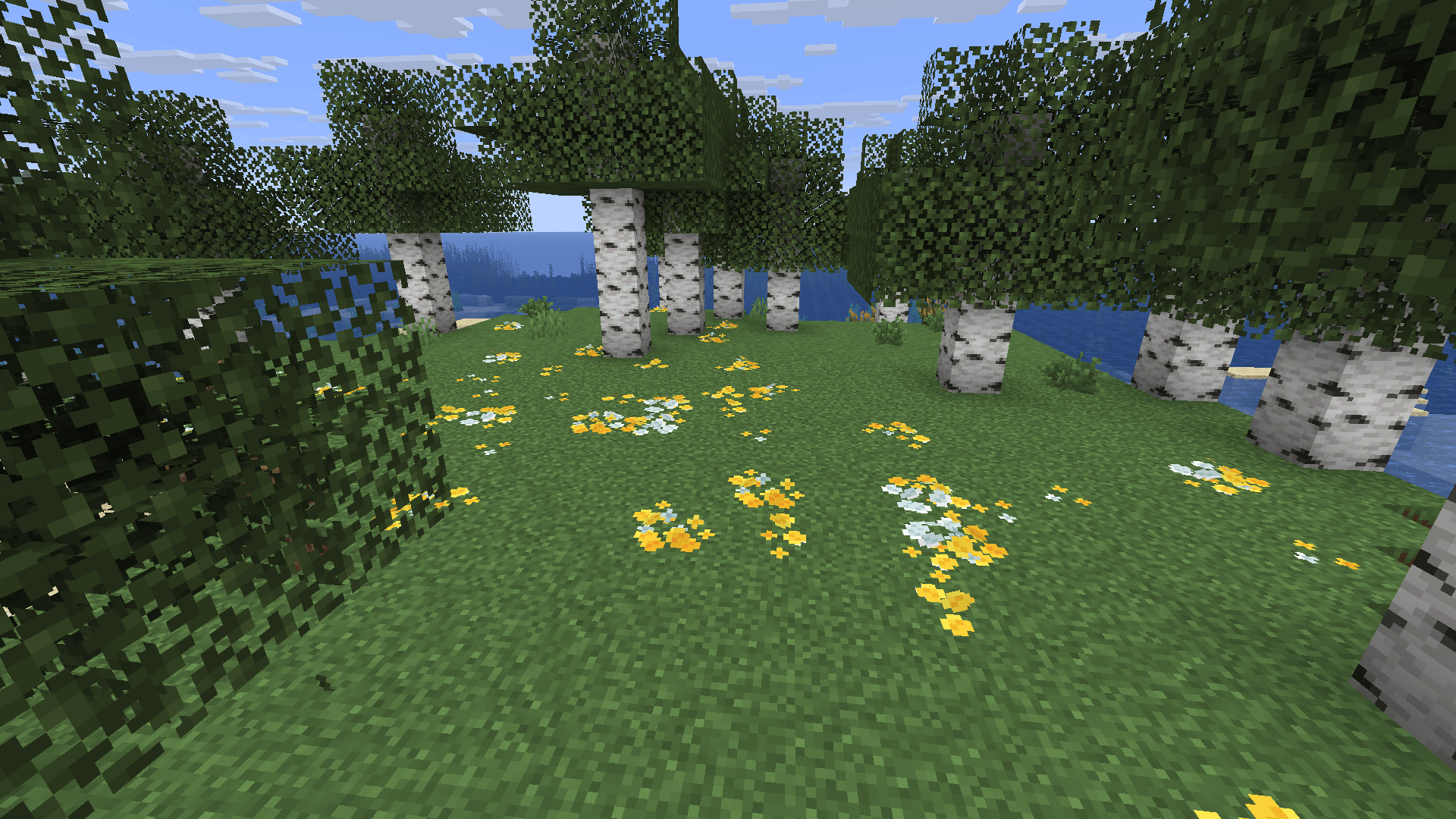 Bushy pink petals, wildflowers & leaf litter — screenshot 1