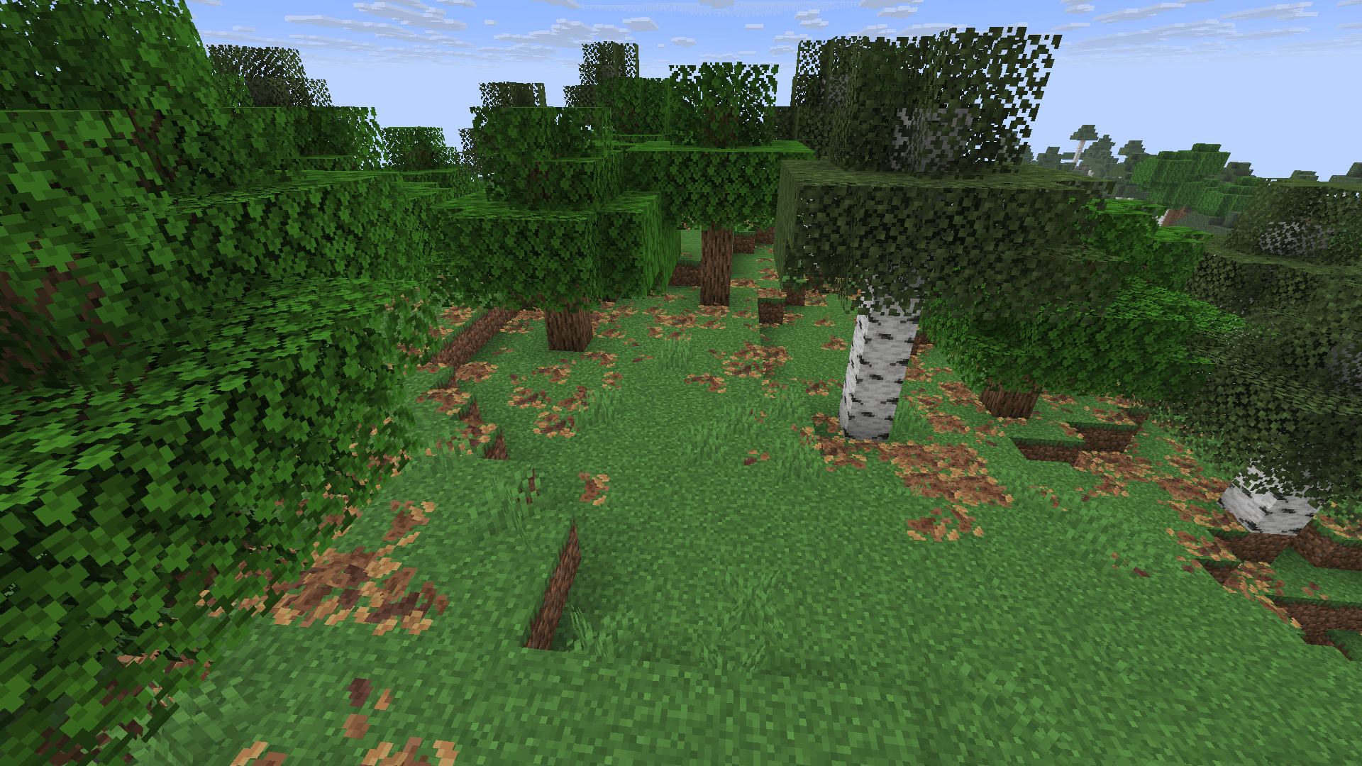 Bushy pink petals, wildflowers & leaf litter — screenshot 3