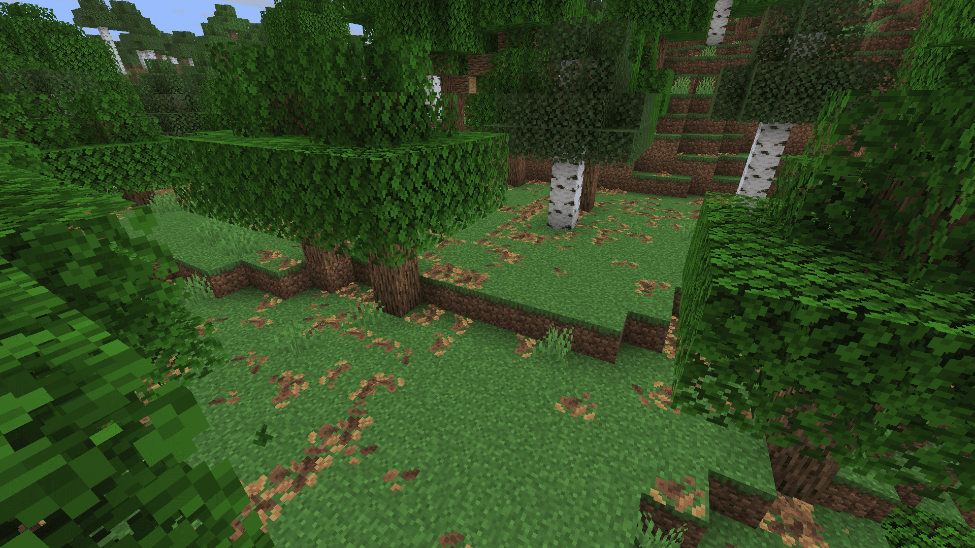 Bushy pink petals, wildflowers & leaf litter — screenshot 4