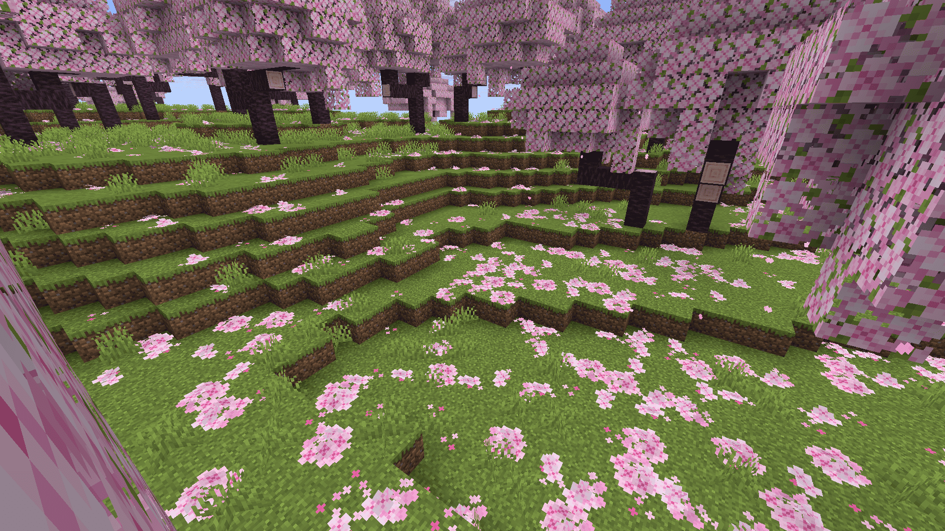 Bushy pink petals, wildflowers & leaf litter — screenshot 6