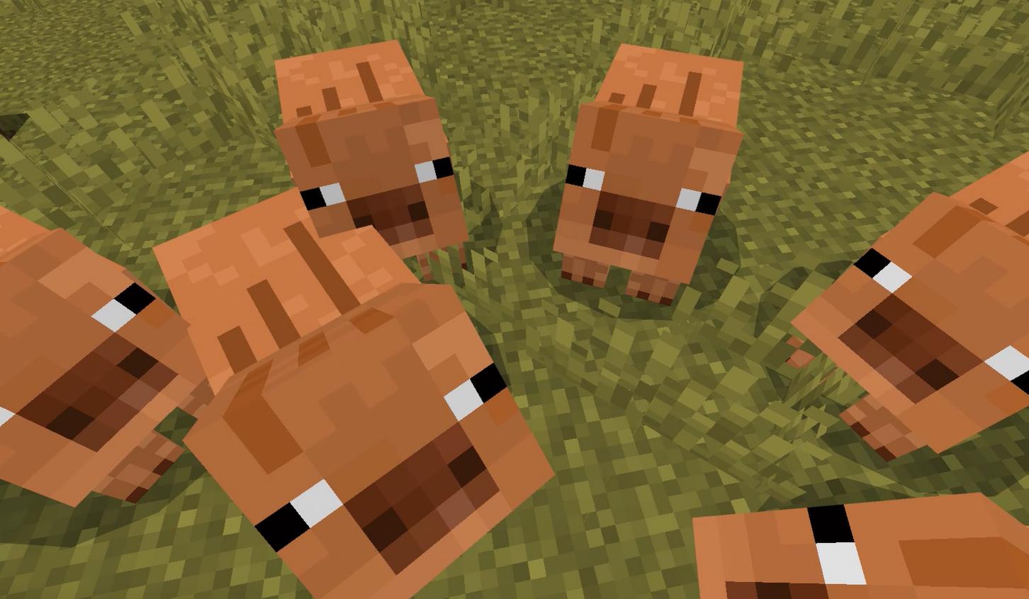 Indev and Infdev Pig Bedrock Texture Pack — screenshot 2