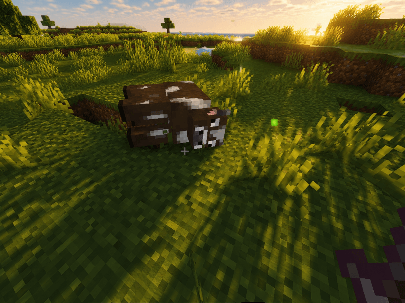 corpse — Minecraft Bedrock Addon Download | MCModsHub