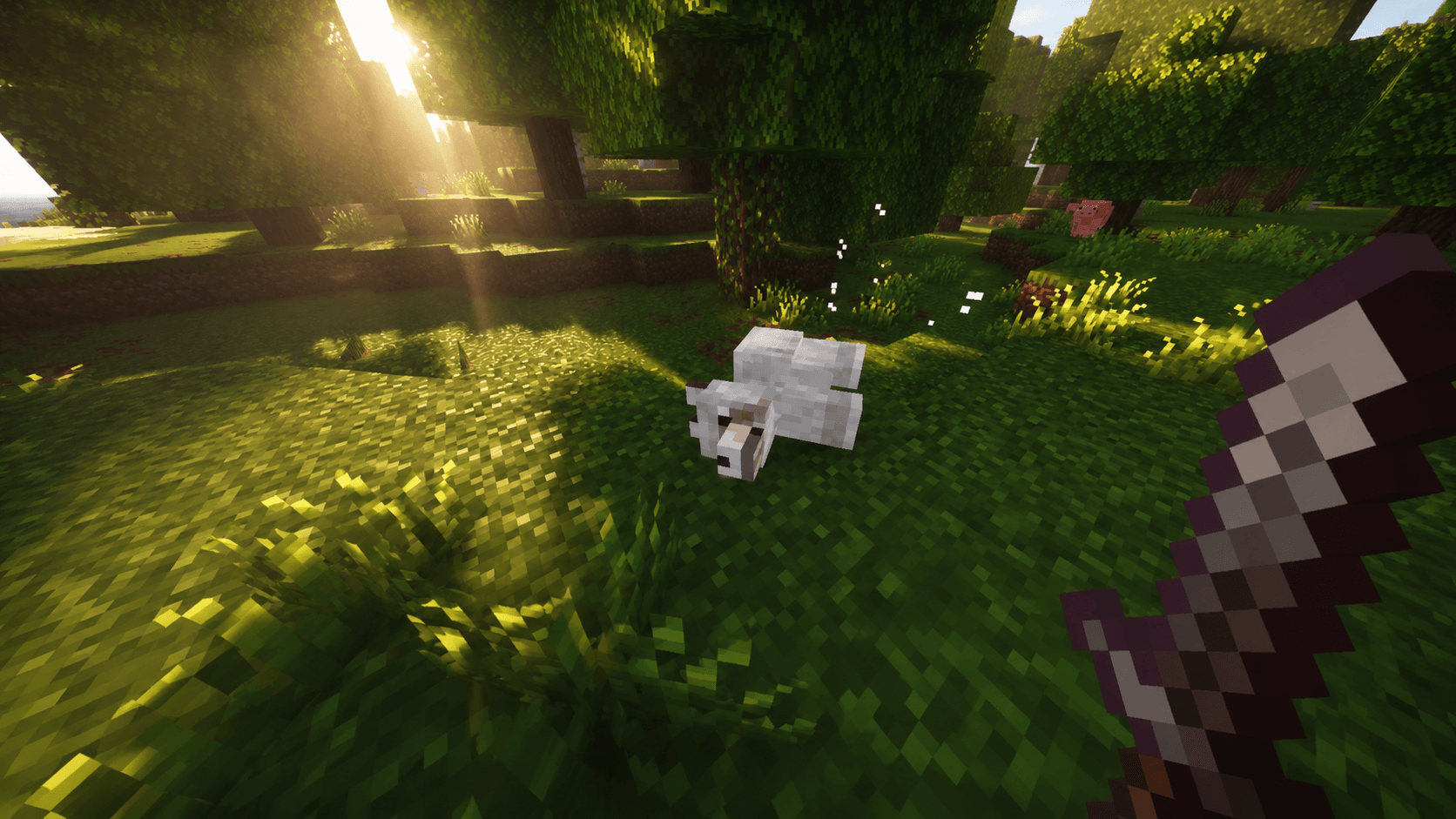 corpse — Minecraft Bedrock Addon Download | MCModsHub