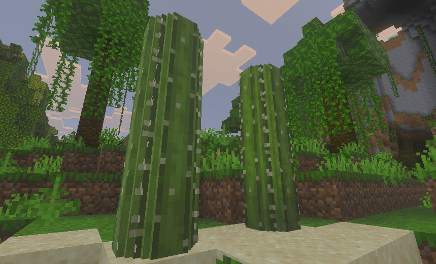 Round Cacti (Automatic Port) — screenshot 1