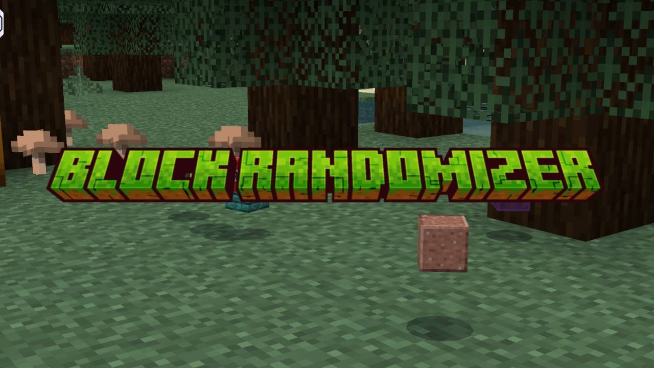 Block Randomizer — screenshot 1