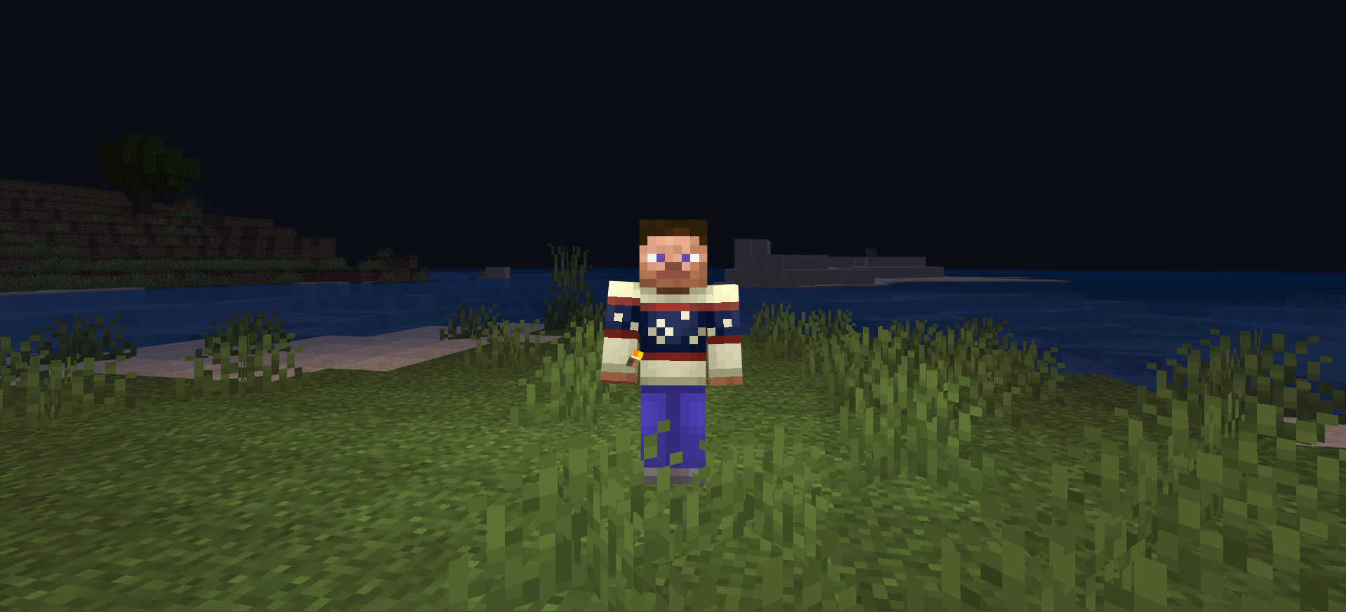 Handheld Light (Automatic Port) — screenshot 1