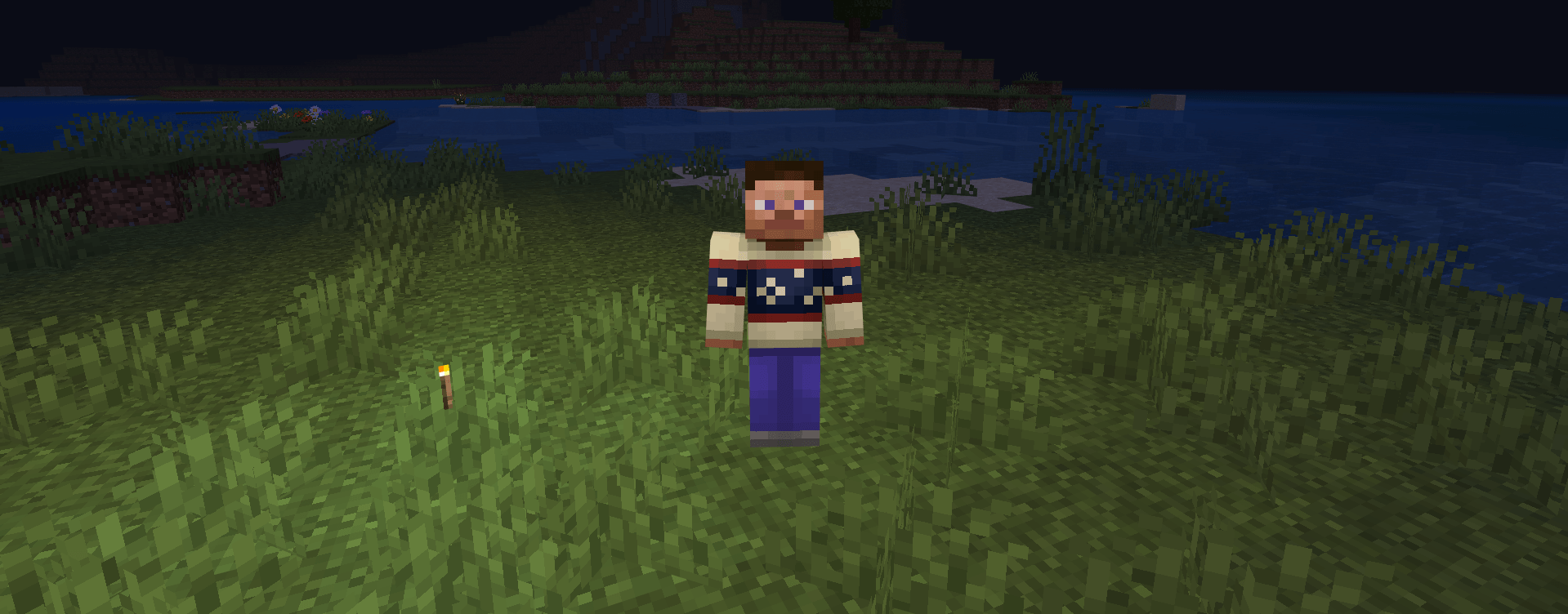Handheld Light (Automatic Port) — screenshot 2
