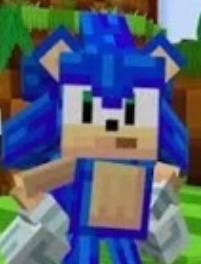 Sonic Blocks!Make Your Own Green Hill credit to gamemode1 — screenshot 1