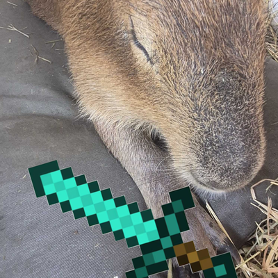 Capybaras wepons and stuff