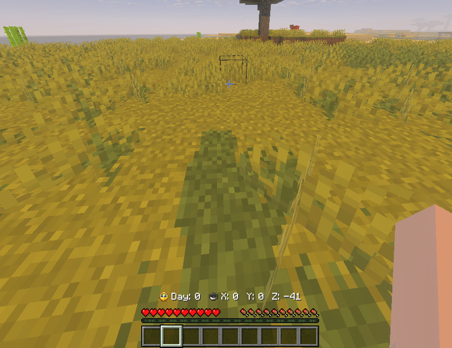 Day and Coords — screenshot 3