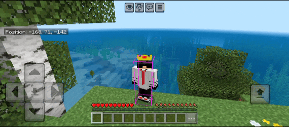 Simple Player Hitbox — screenshot 2
