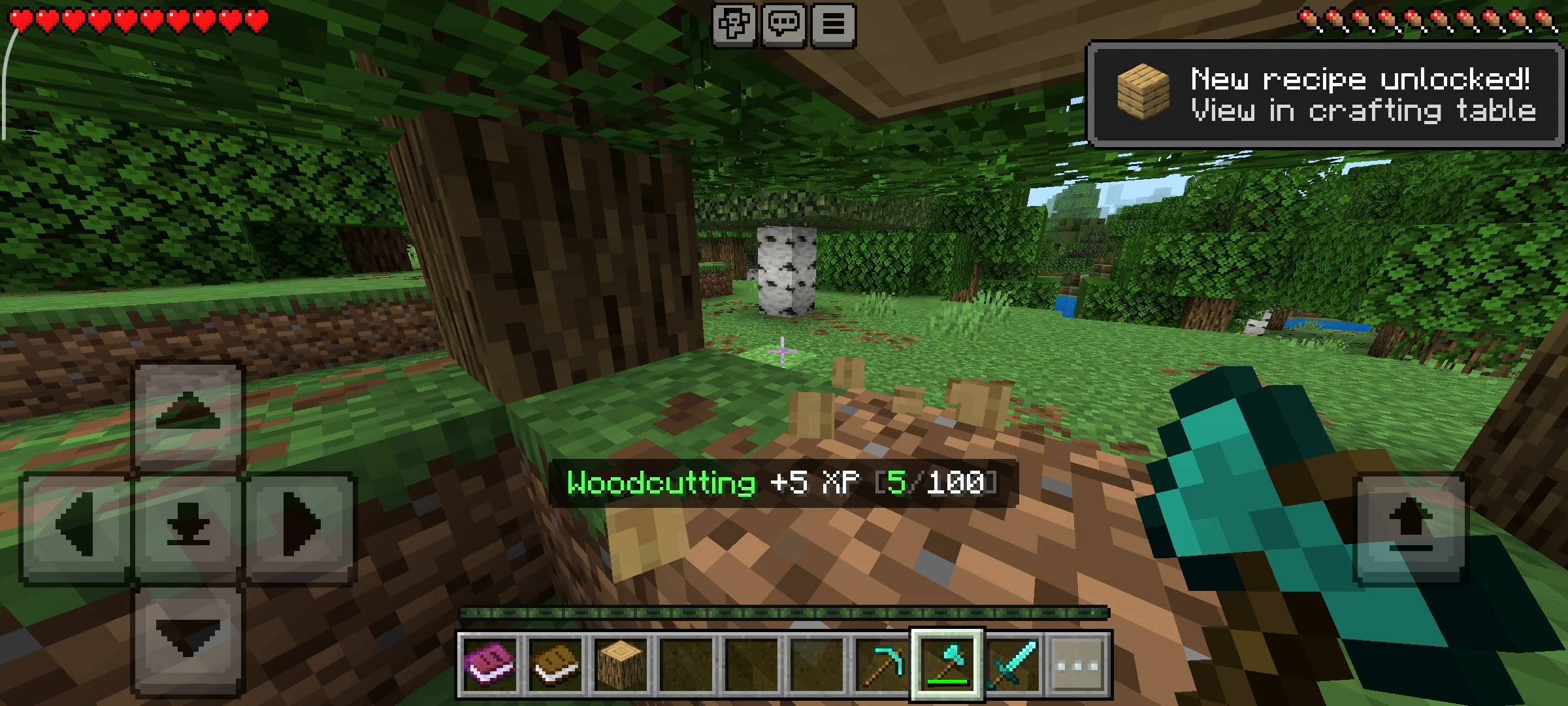 NovaCraft RPG Skills — screenshot 7