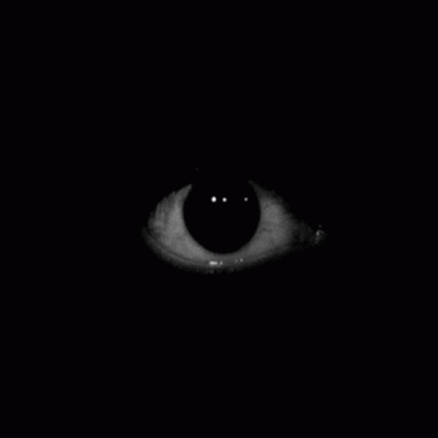 Fear of Darkness