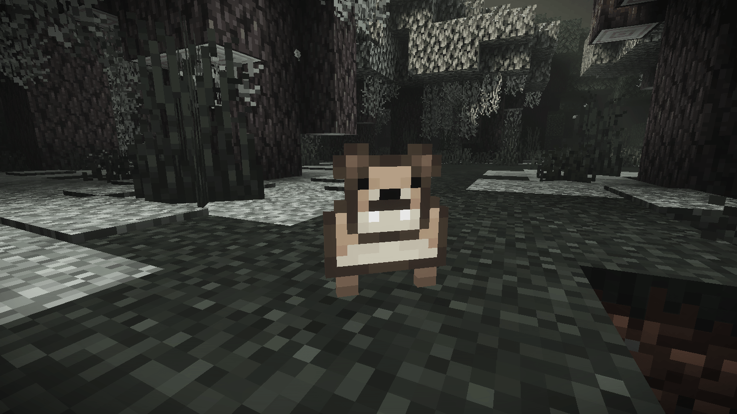Monete Add-on — screenshot 7