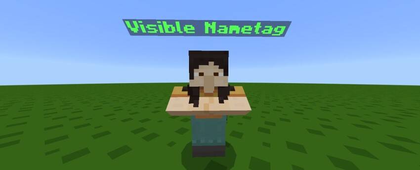Always Visible NPC Name Tags — screenshot 1