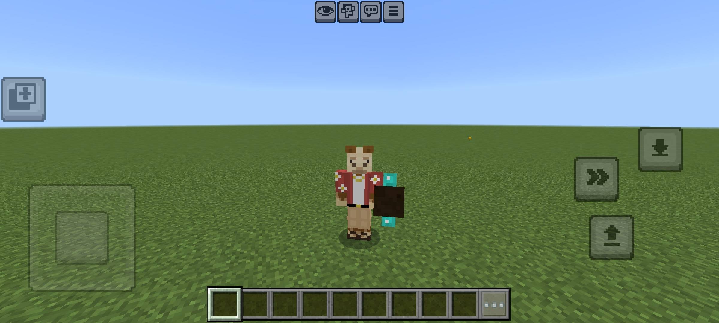 Player Shield — screenshot 1