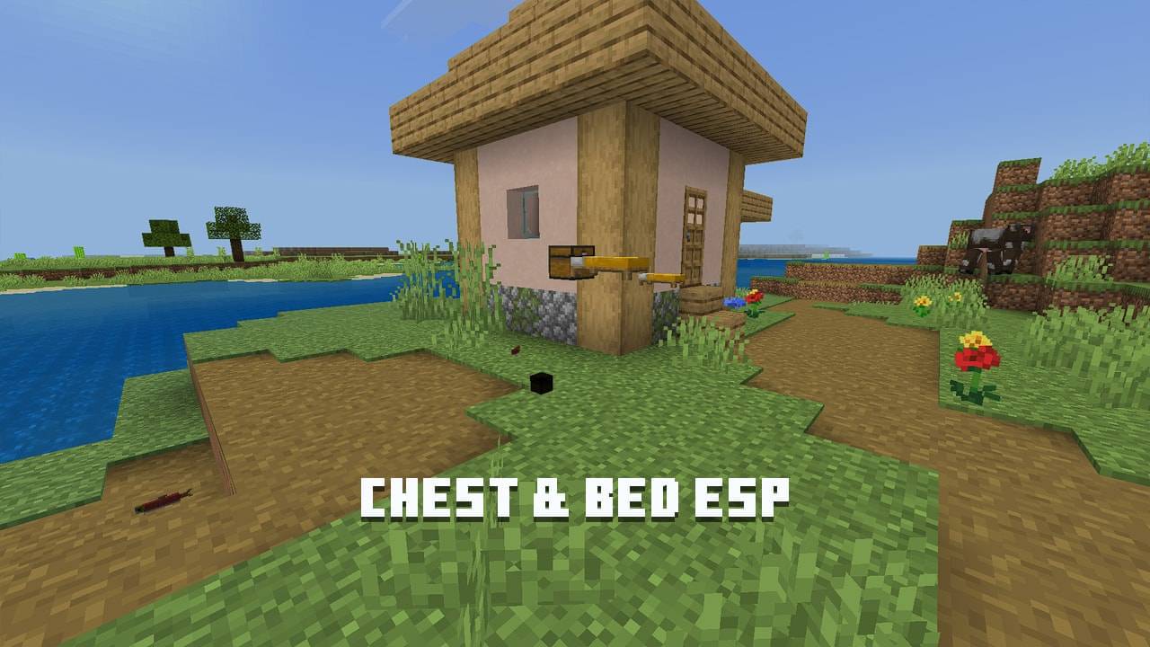 PandaMine's Entity ESP | Chest Esp, Player Esp, Bed Esp, Shulker Esp | X-Ray — screenshot 2