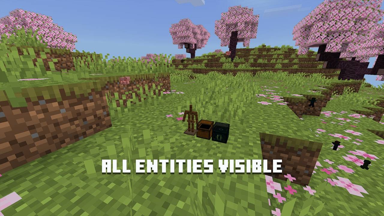 PandaMine's Entity ESP | Chest Esp, Player Esp, Bed Esp, Shulker Esp | X-Ray — screenshot 4