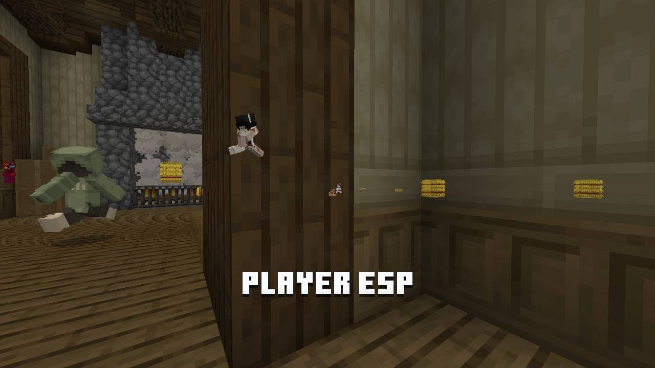 PandaMine's Entity ESP | Chest Esp, Player Esp, Bed Esp, Shulker Esp | X-Ray — screenshot 5