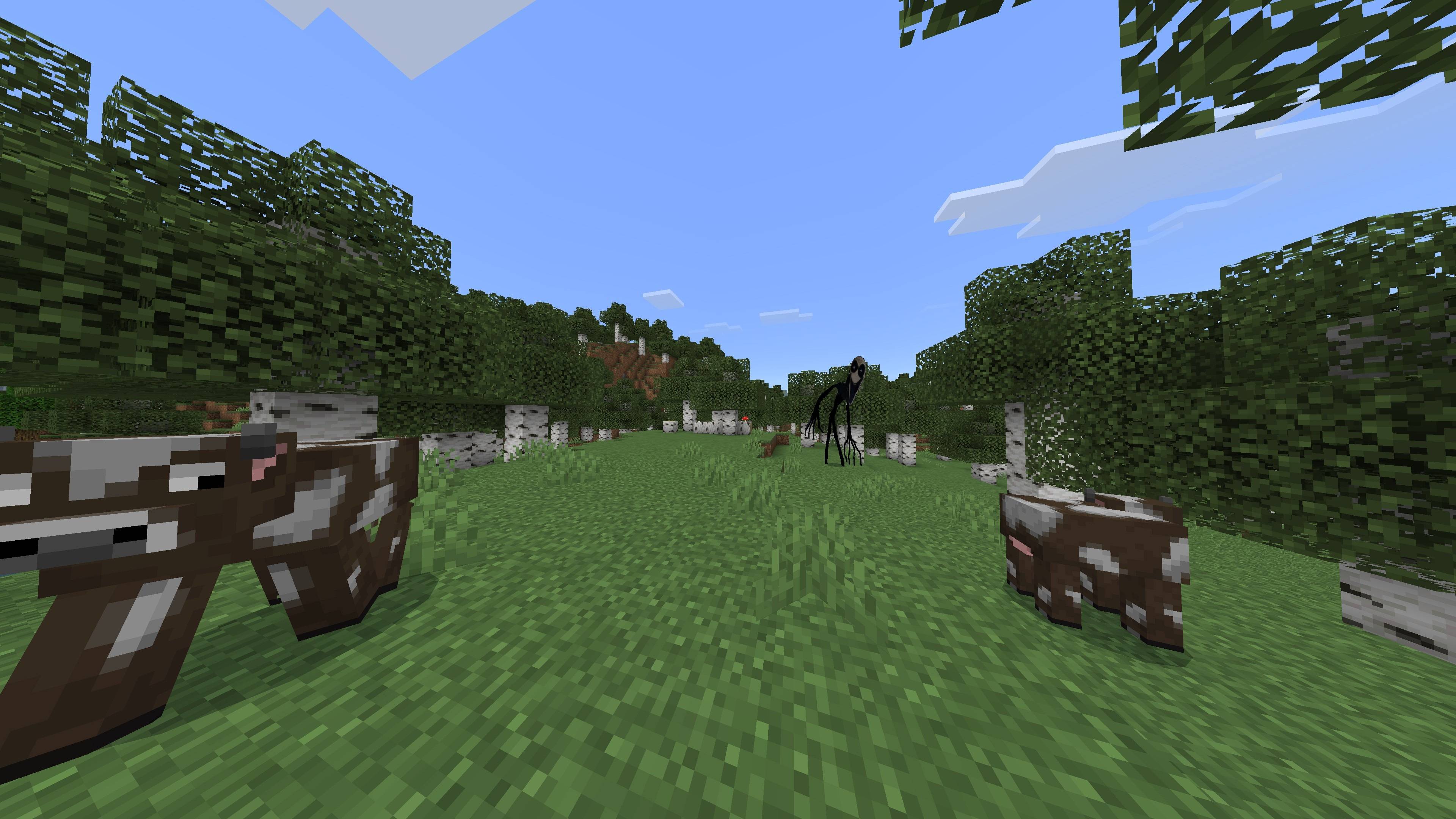 DNGO (a.k.a Do Not Go Outside) (twixxel's stalkers) (horror) (DontCry) — screenshot 6