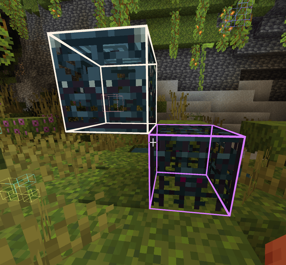 TC Xray + Find biome — screenshot 6