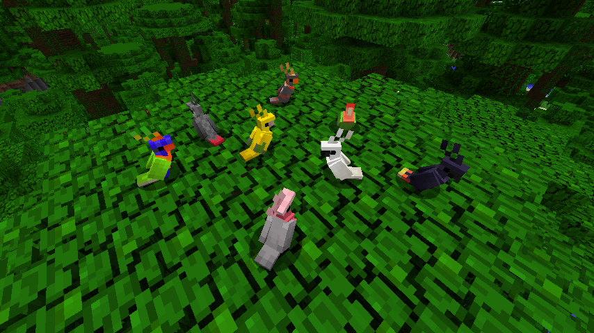 Not Enough Pets — screenshot 1