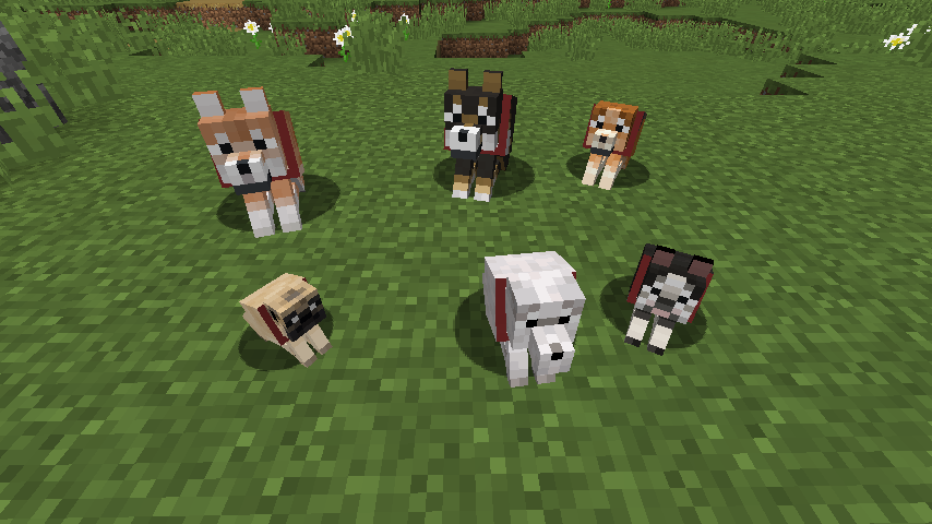 Not Enough Pets — screenshot 2