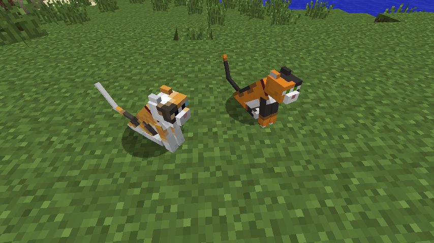 Not Enough Pets — screenshot 5