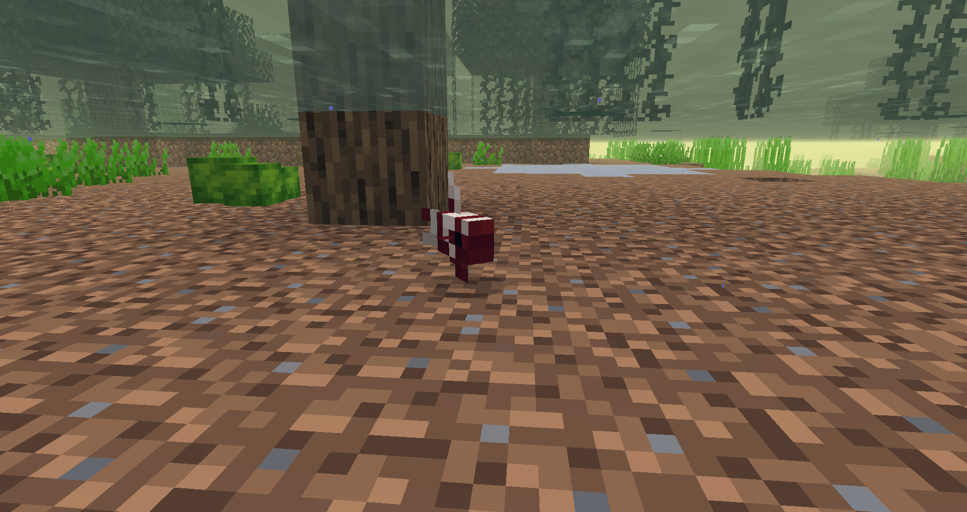 Bettas — screenshot 1