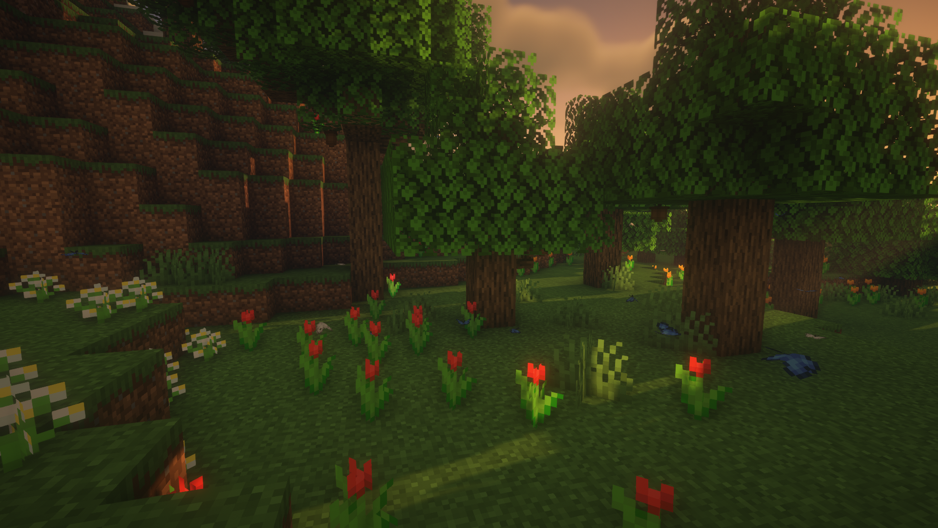 Natural Decoration — screenshot 2