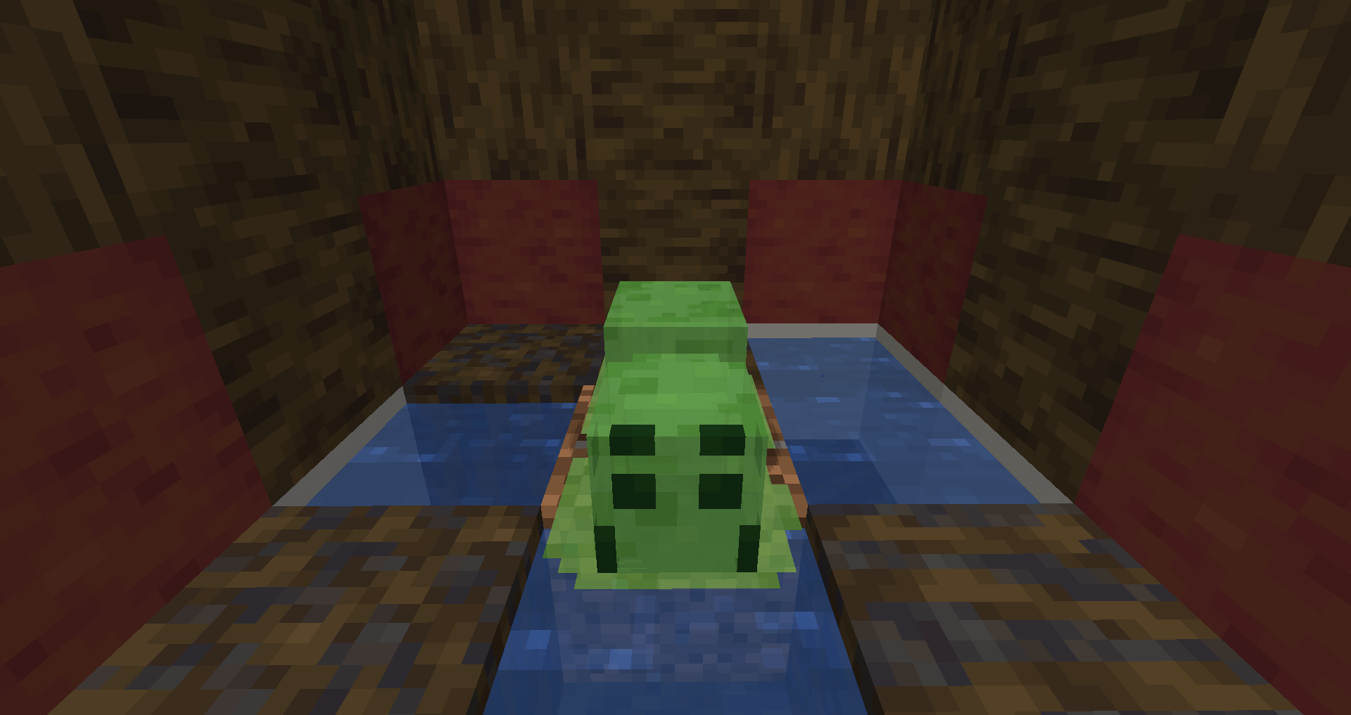 Canes Wonderful Spiders — screenshot 2