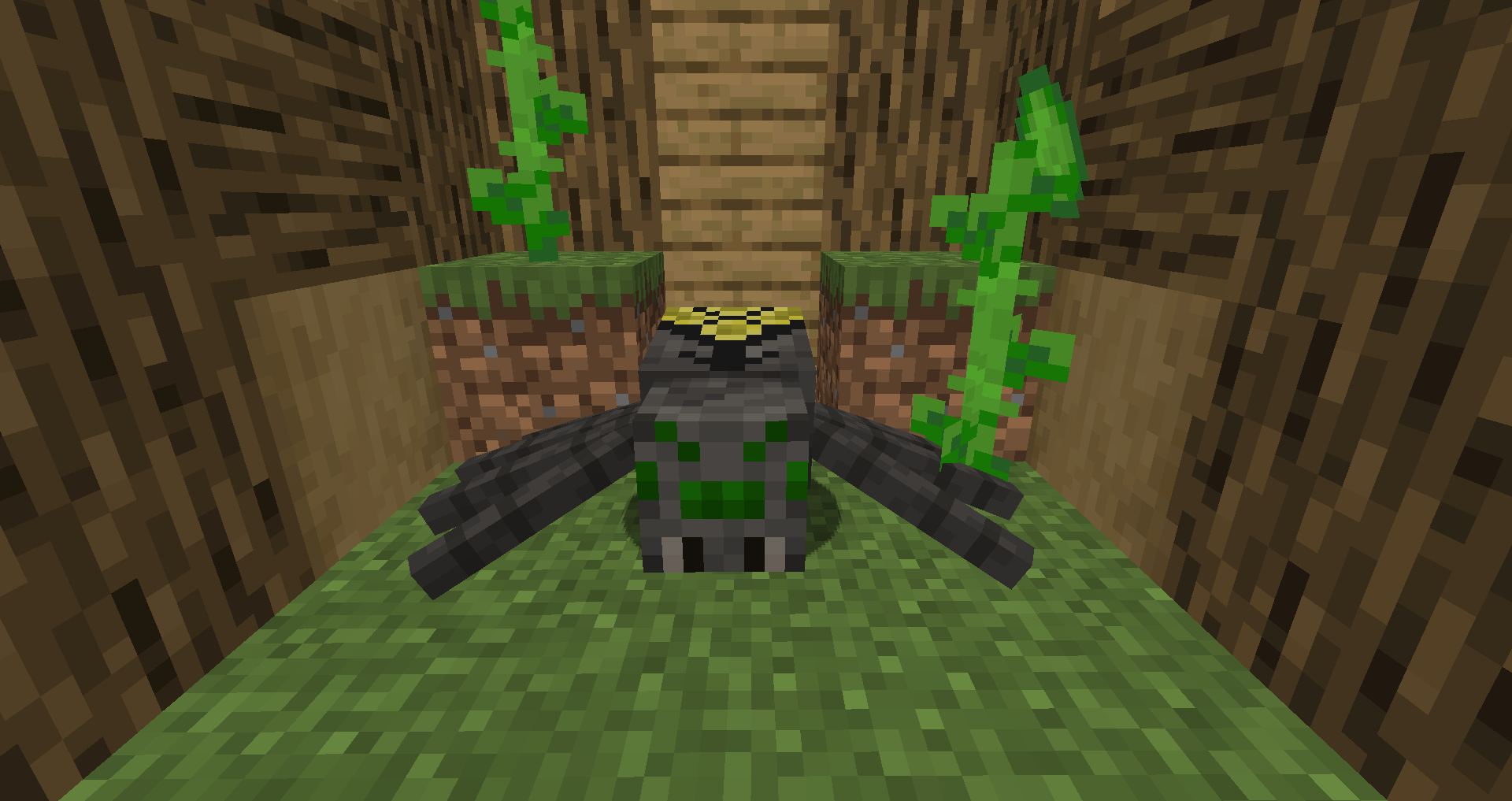 Canes Wonderful Spiders — screenshot 3