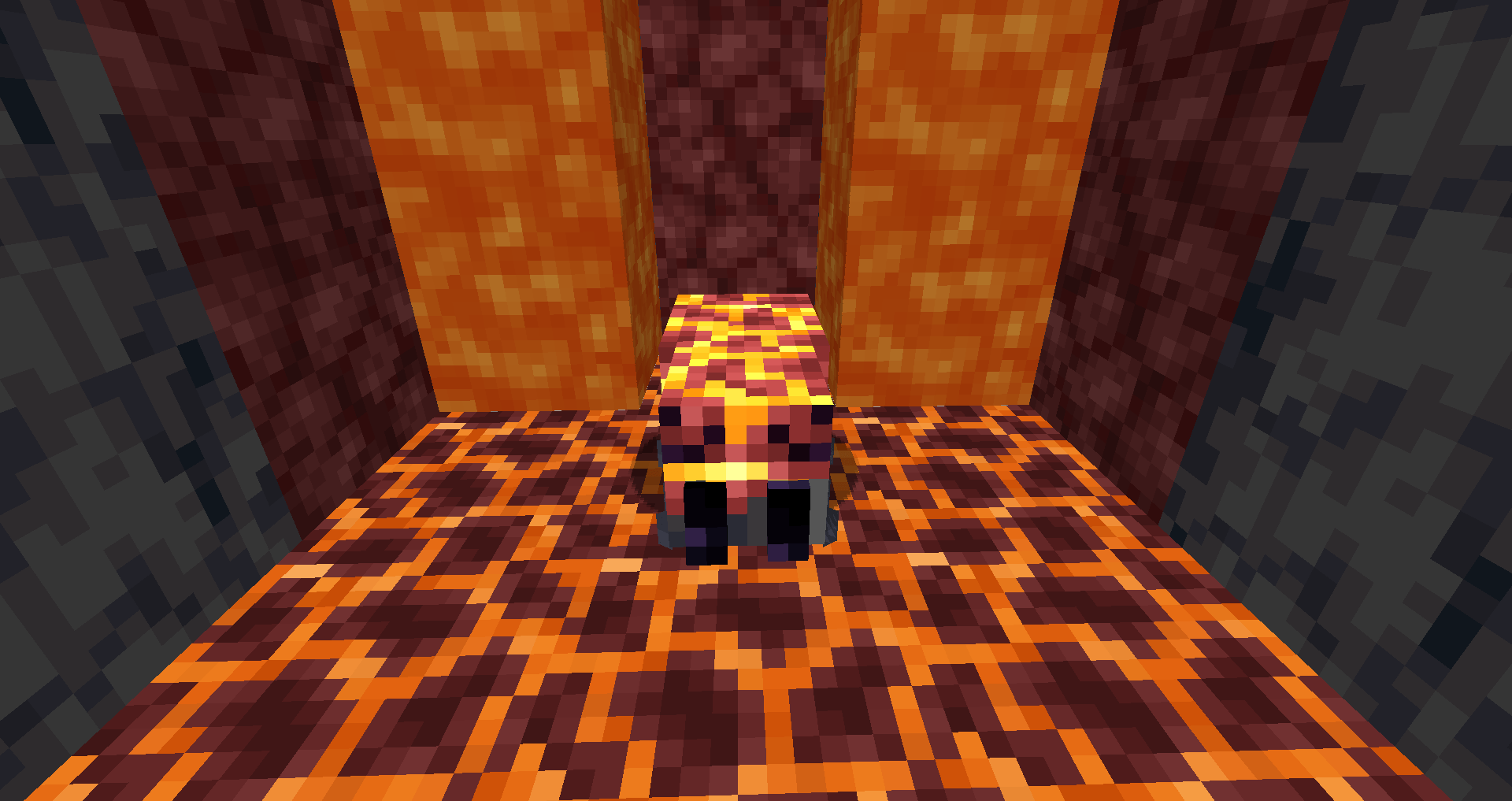 Canes Wonderful Spiders — screenshot 4